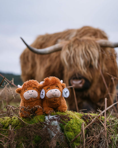 Peluche vache des Highlands